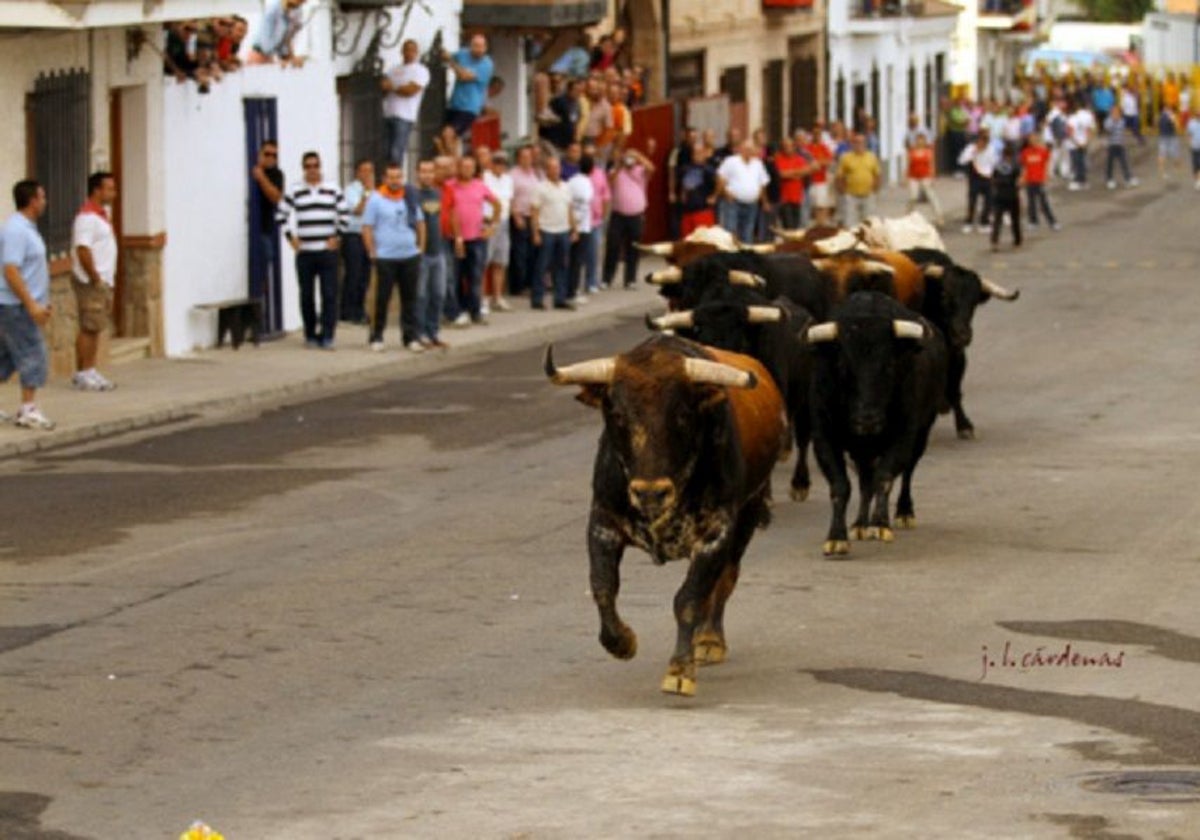 los encierros de Villaseca, un clásico de los veranos en la provincia de Toledo