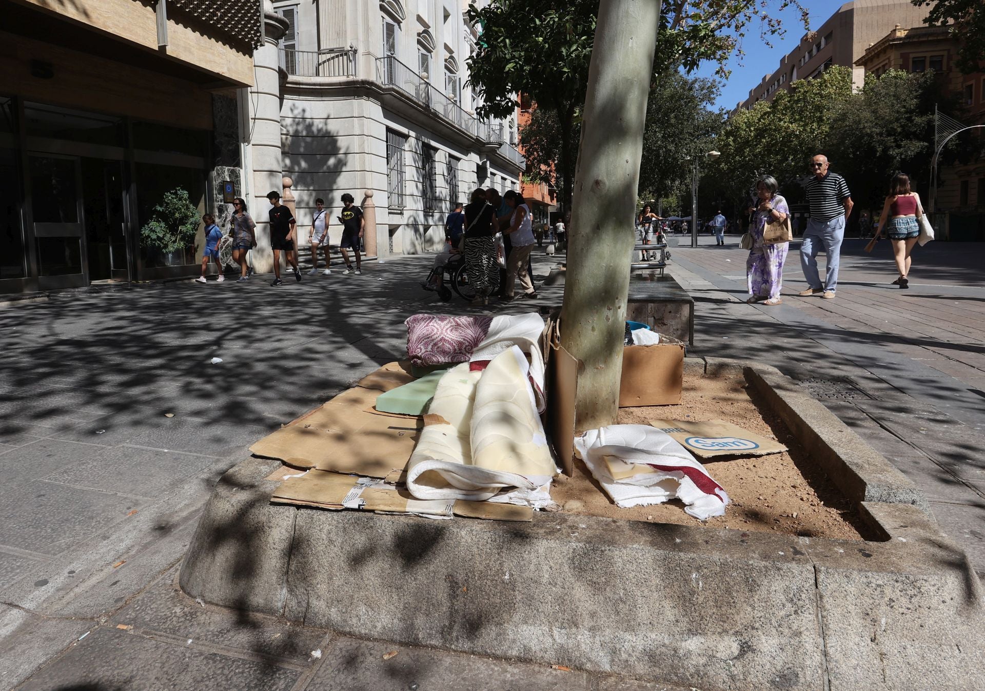 Fotos: los asentamientos de personas sin techo en el Centro de Córdoba