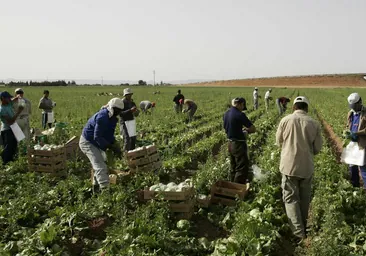 El campo cordobés activa la llegada colectiva de trabajadores extranjeros en origen doce años después