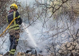 Los retenes de los Bomberos de la Diputación de Alicante reducen el alcance de 200 incendios este verano