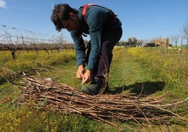 Vinos Indar: la vuelta a los orígenes de un joven enólogo en Socuéllamos