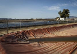 El informe interno del Gobierno sobre el trasvase Tajo-Segura confirma la privación de agua desde hace décadas