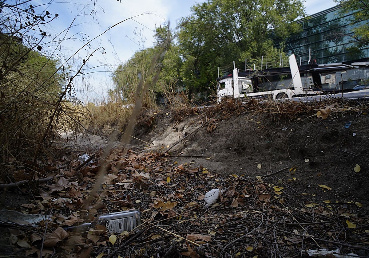 Restos del botellón en el arcén de la calle del Caballero Andante, ayer por la mañana