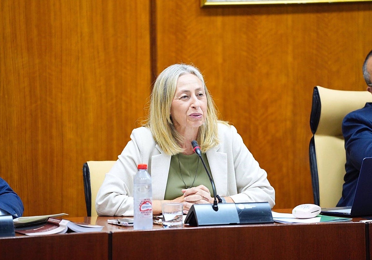 La nueva consejera de Salud y Consumo