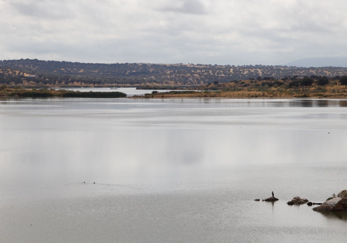 Presa de La Colada