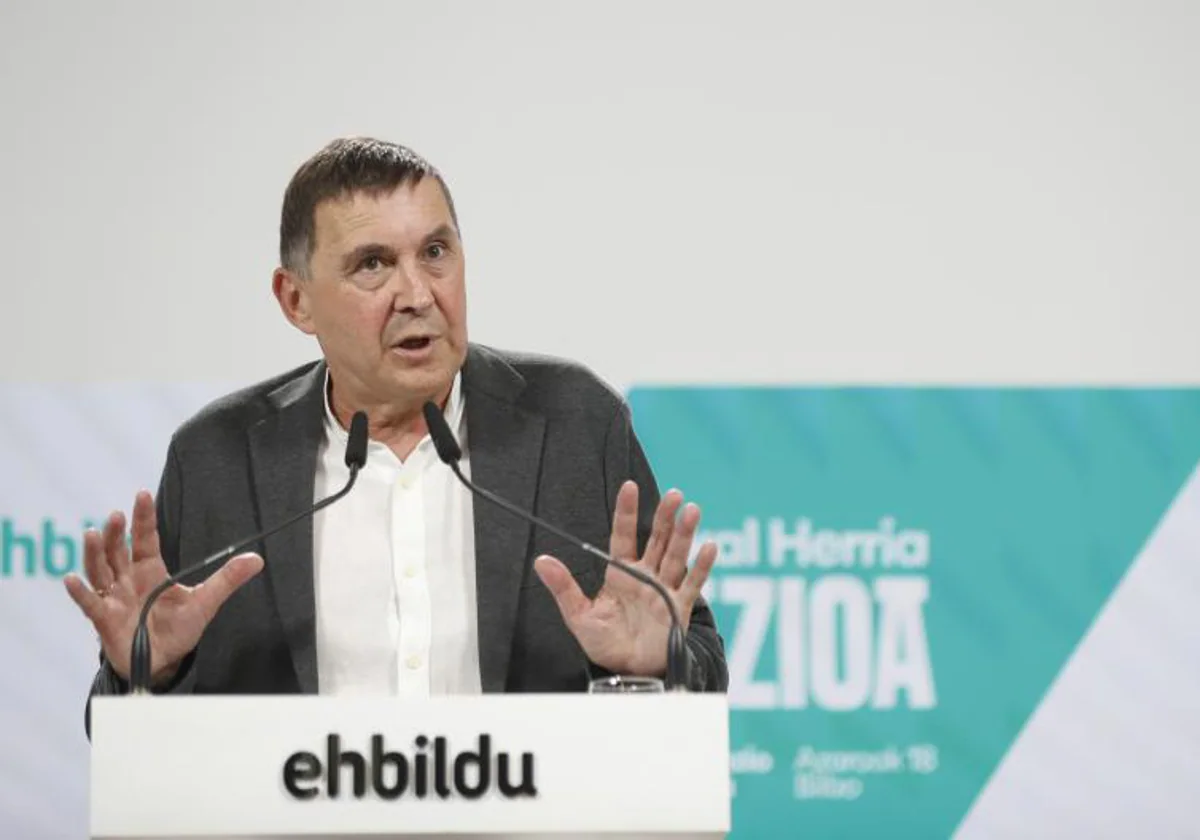 El coordinador general de EH BIldu, Arnaldo Otegi