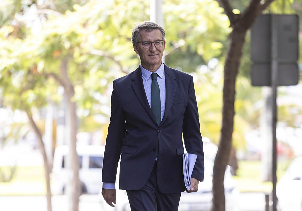 El presidente del PP, Alberto Núñez Feijóo