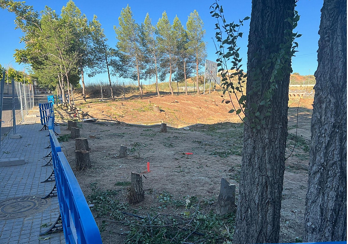 Árboles talados en el barrio toledano de Azucaica