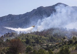 Restablecida la circulación de trenes en Valencia tras el corte por un incendio de vegetación en Benifaió