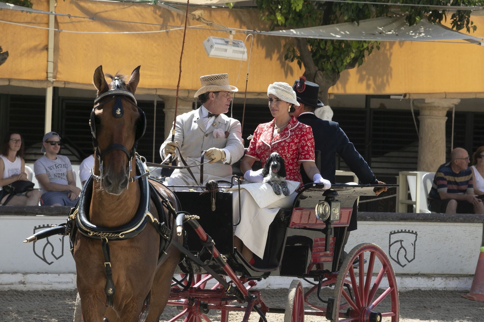Fotos: el concurso de atalajes de tradición en Córdoba