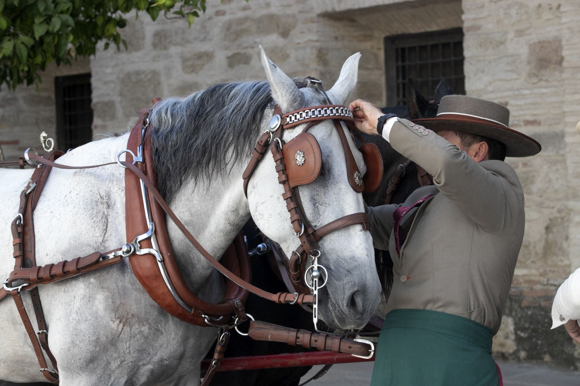Fotos: el concurso de atalajes de tradición en Córdoba