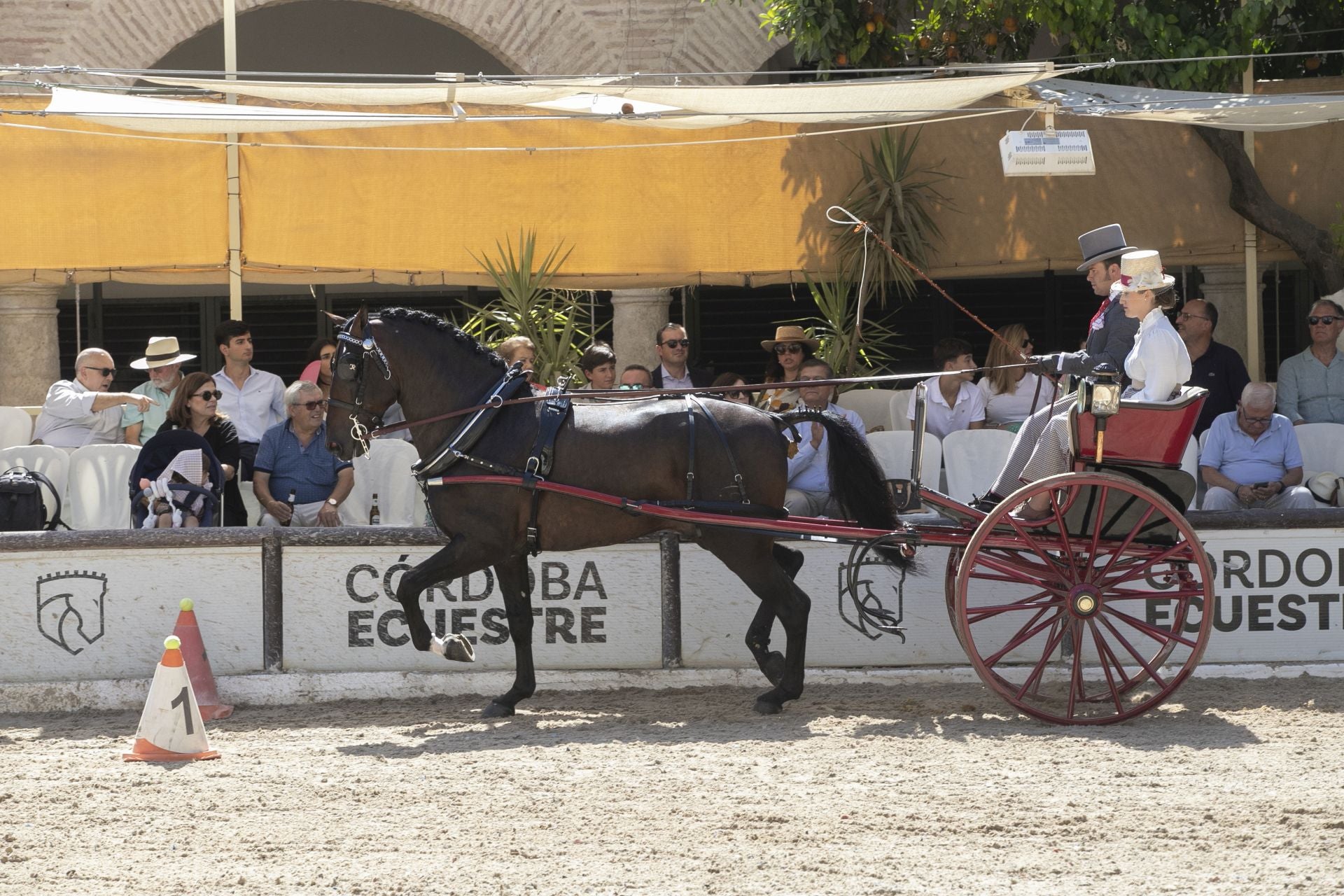 Fotos: el concurso de atalajes de tradición en Córdoba