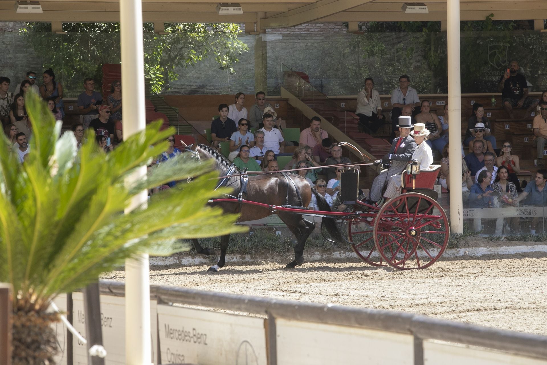 Fotos: el concurso de atalajes de tradición en Córdoba