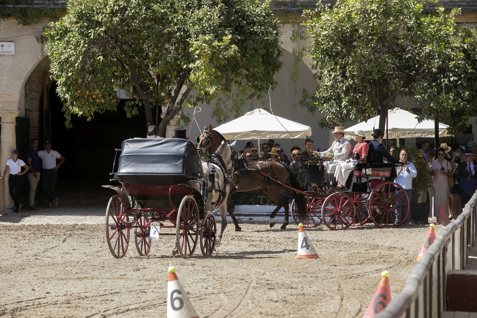 Fotos: el concurso de atalajes de tradición en Córdoba
