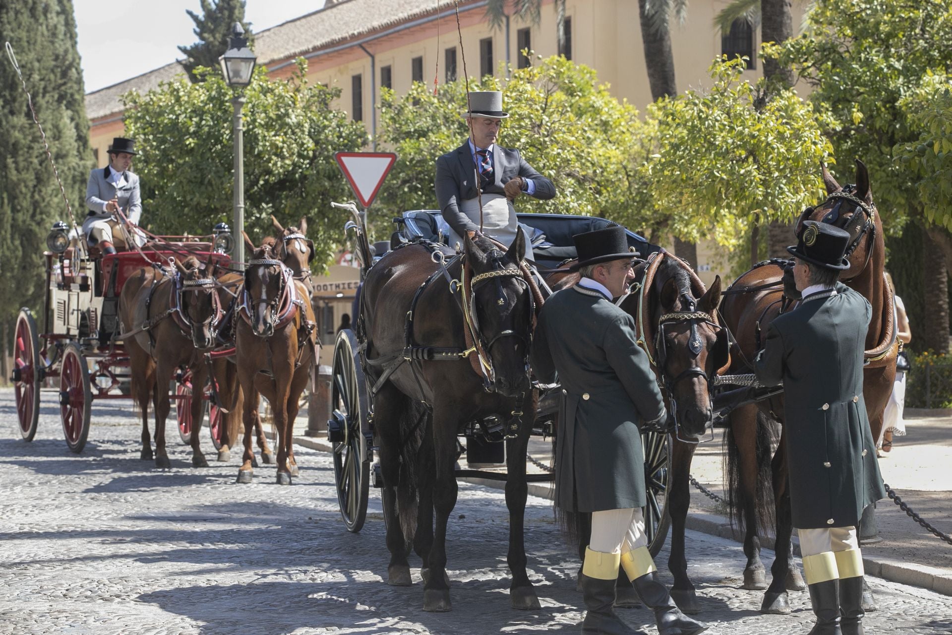 Fotos: el concurso de atalajes de tradición en Córdoba