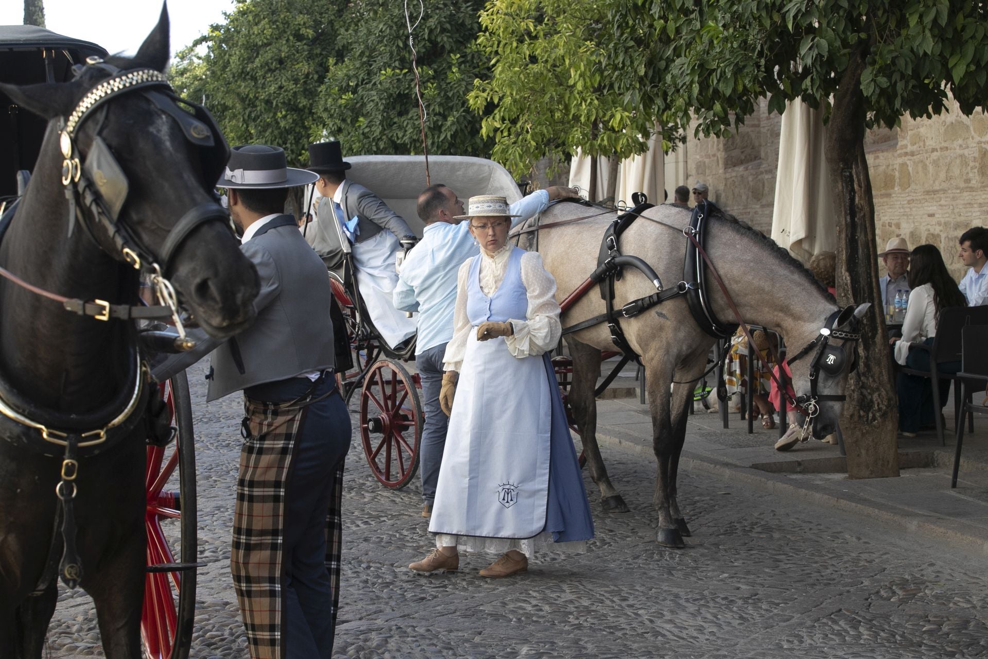 Fotos: el concurso de atalajes de tradición en Córdoba