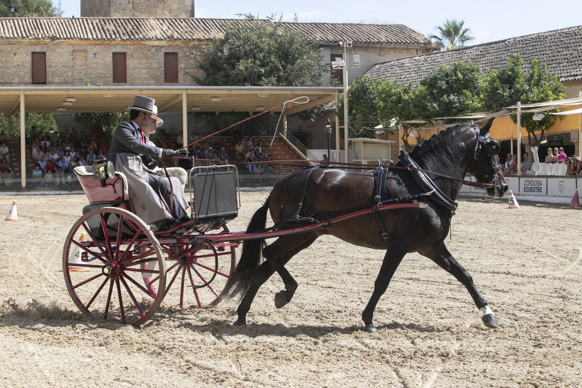 Fotos: el concurso de atalajes de tradición en Córdoba