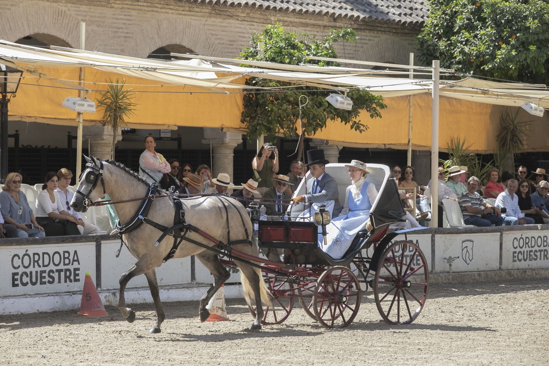 Fotos: el concurso de atalajes de tradición en Córdoba