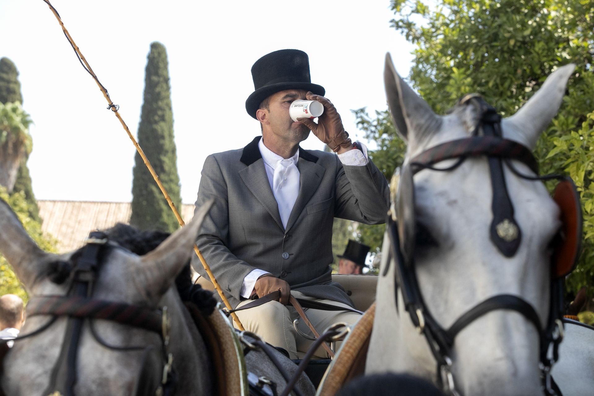 Fotos: el concurso de atalajes de tradición en Córdoba
