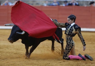 Manuel Román: las preguntas que deja un vacío taurino inesperado