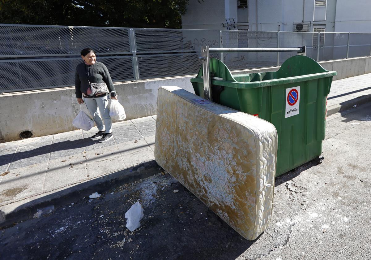 Imagen de un contenedor vandalizado en Córdoba