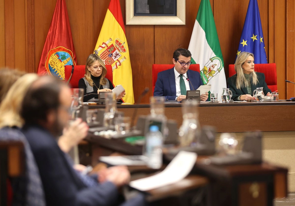 Pleno del Ayuntamiento de Córdoba