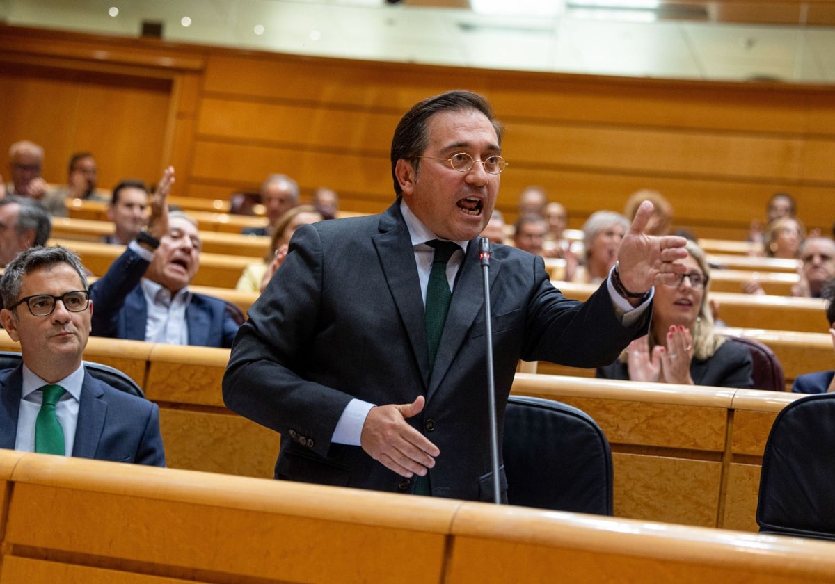 El ministro de Asuntos Exteriores, hoy, en el Senado