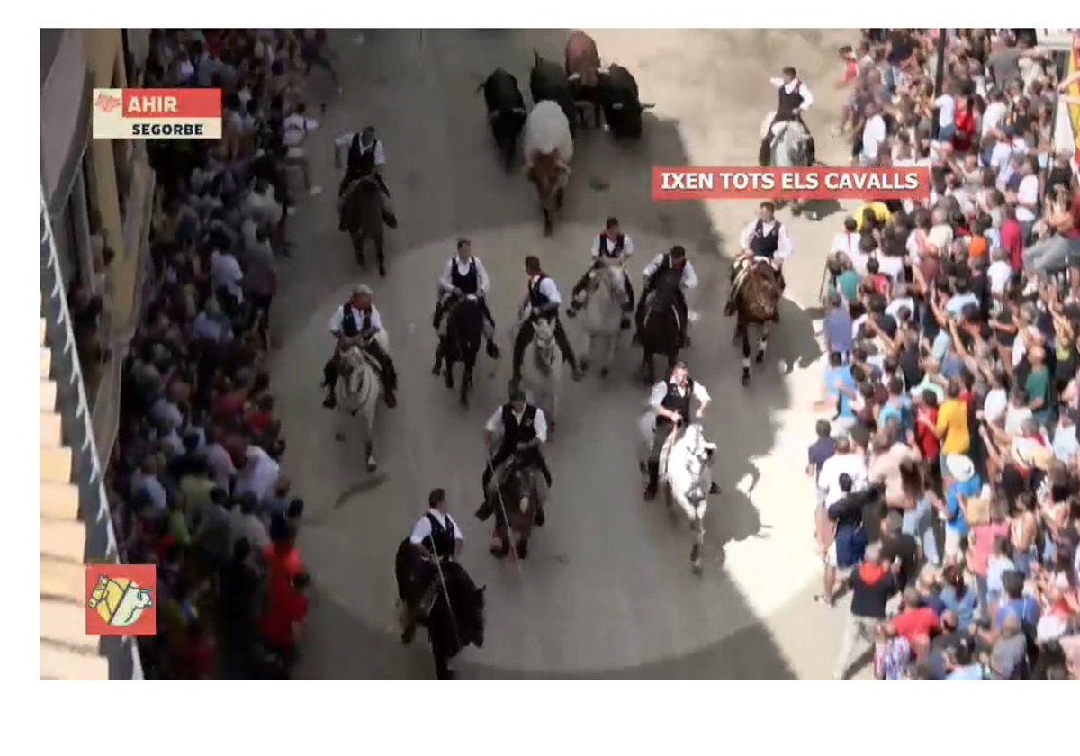 Audiencias de À Punt: más de 275.000 espectadores vieron la Entrada de Toros y Caballos de Segorbe