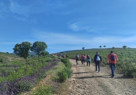 El 5 de octubre comienza la nueva temporada de los 'Paseos naturales' con 34 rutas para conocer la provincia de Toledo