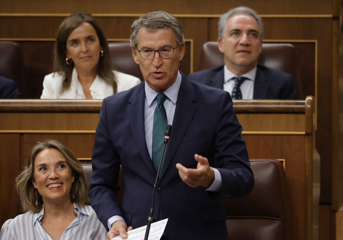 El presidente del PP, Alberto Núñez Feijóo, en su pregunta parlamentaria al jefe del Ejecutivo