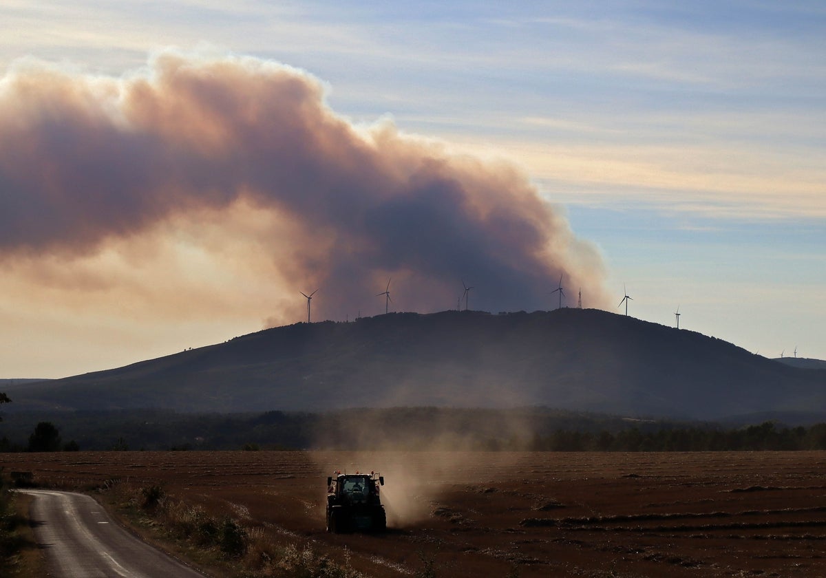 Columna de humo del incendio de Brañuelas, vista desde la Cepeda (León)