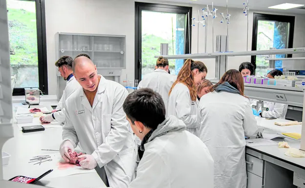 Alumnos en un laboratorio de la Isabel I