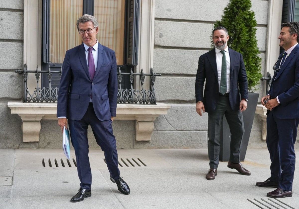 Alberto Núñez Feijóo y Santiago Abascal en un encuentro el lunes en el Congreso