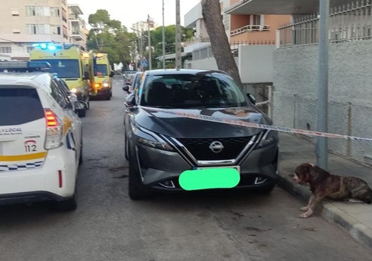 Las ambulancias y las autoridades en el lugar de los hechos con el pitbull atado a la farola