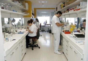 Luz verde a un ensayo clínico en Córdoba que reducirá amputaciones en pacientes