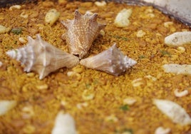 Un arroz con pez león y caracol de mar gana el World Paella Day Cup 2024