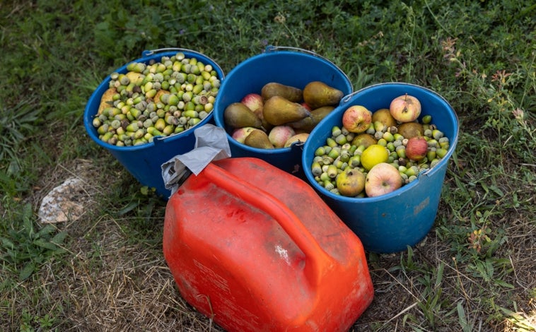 Imagen principal - Dos celadores forestales les llevan comida que les lanzan desde el otro lado del muro. También les ponen agua. En la última imagen, Cova dentro del habitáculo en el que está el depósito