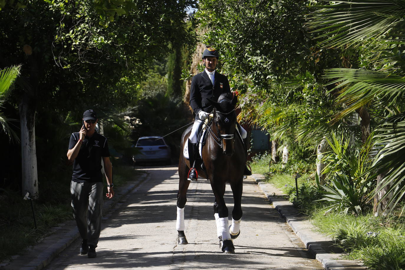 Fotos: el Concurso Morfológico de Pura Raza, en Caballerizas Reales