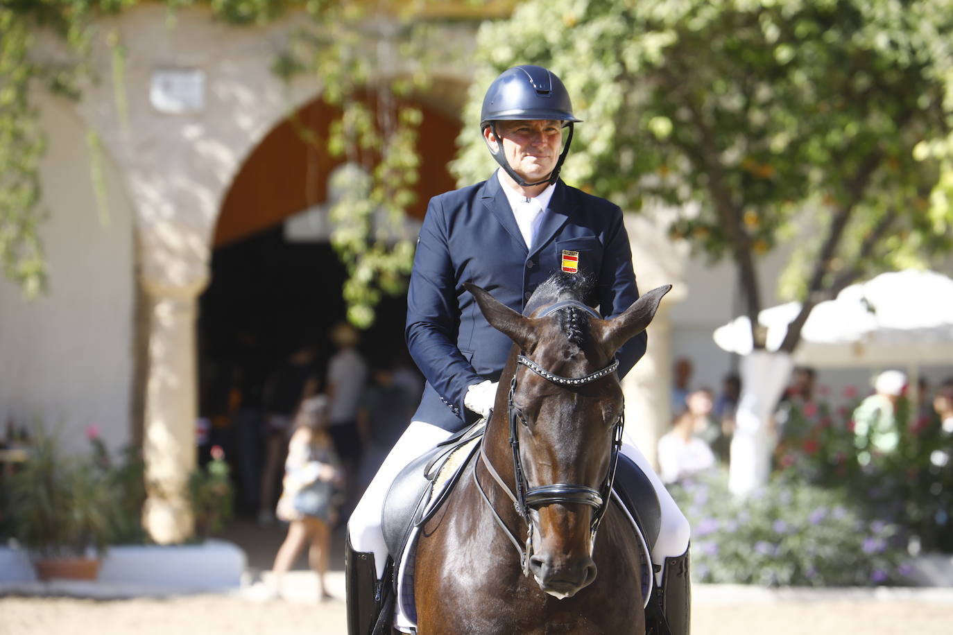 Fotos: el Concurso Morfológico de Pura Raza, en Caballerizas Reales