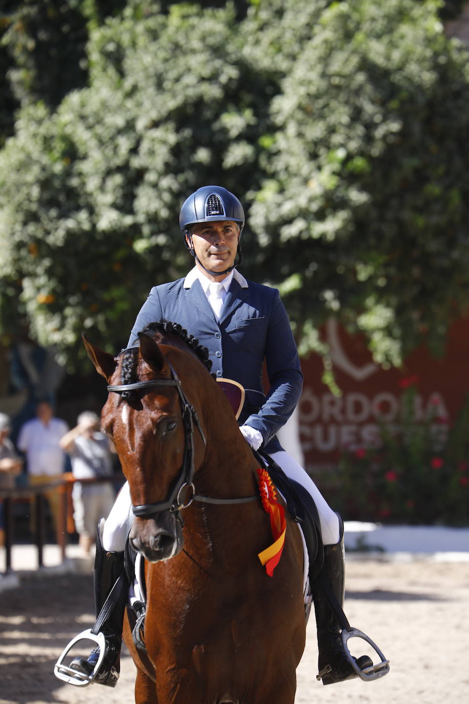 Fotos: el Concurso Morfológico de Pura Raza, en Caballerizas Reales