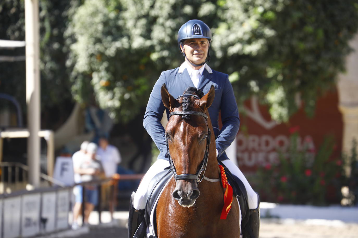 Fotos: el Concurso Morfológico de Pura Raza, en Caballerizas Reales