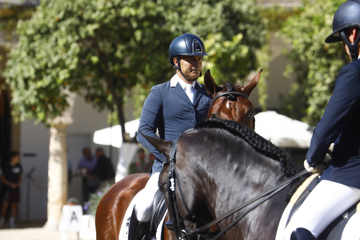 Fotos: el Concurso Morfológico de Pura Raza, en Caballerizas Reales