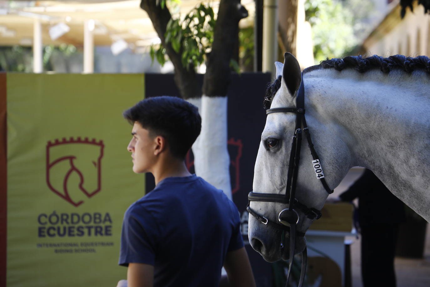 Fotos: el Concurso Morfológico de Pura Raza, en Caballerizas Reales