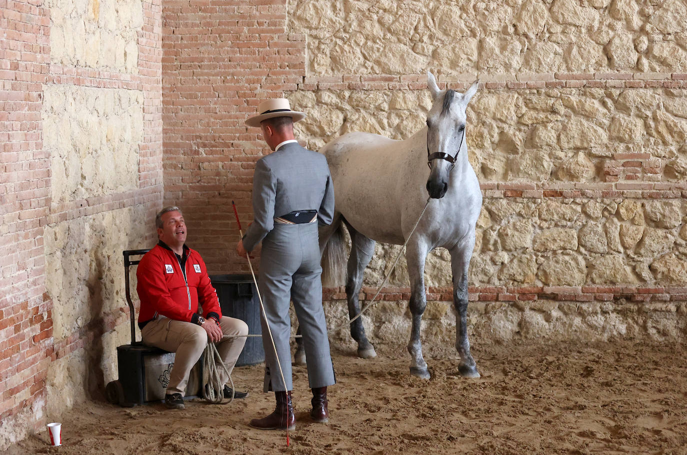 En imágenes, estética y excelencia en el Concurso Morfológico de Pura Raza en Cabalcor