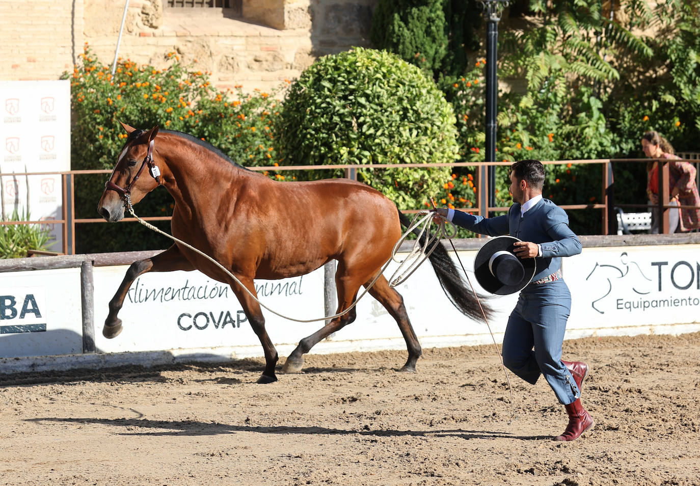 En imágenes, estética y excelencia en el Concurso Morfológico de Pura Raza en Cabalcor