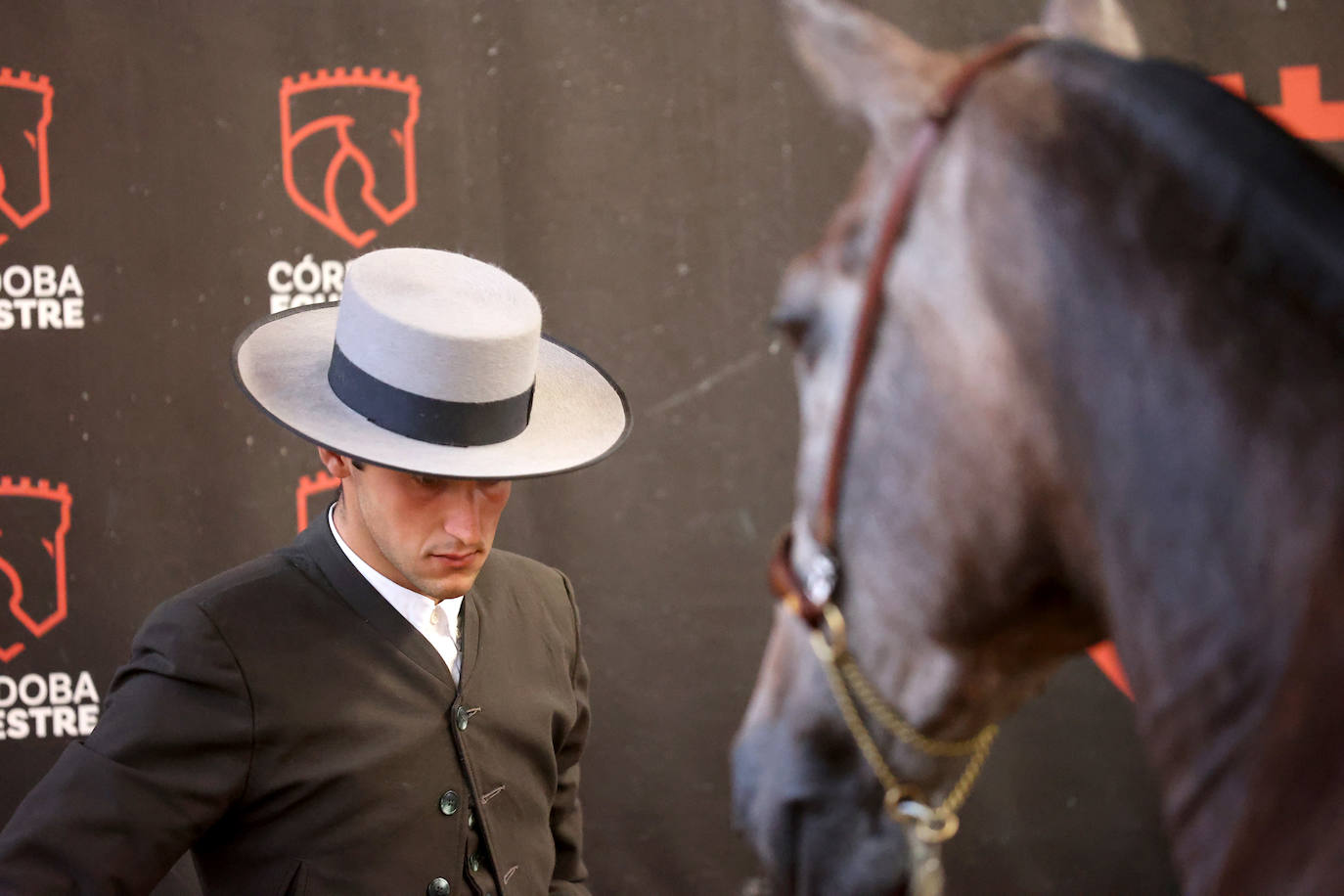 En imágenes, estética y excelencia en el Concurso Morfológico de Pura Raza en Cabalcor