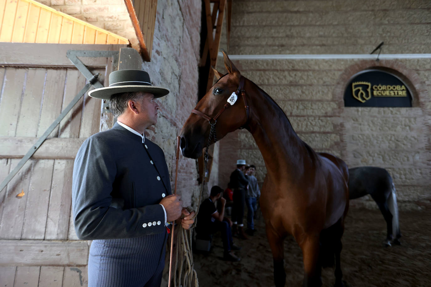 En imágenes, estética y excelencia en el Concurso Morfológico de Pura Raza en Cabalcor