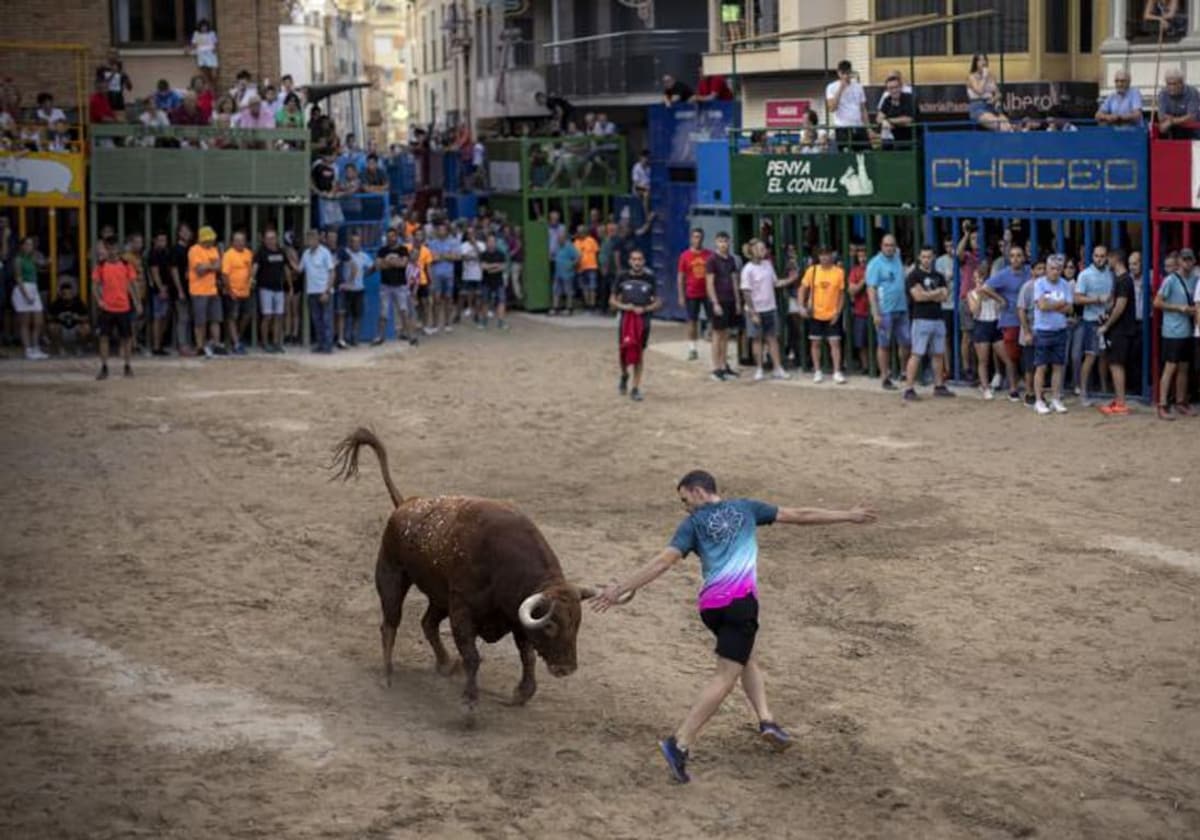 Imagen de archivo de un festejo taurino en la Comunidad Valenciana