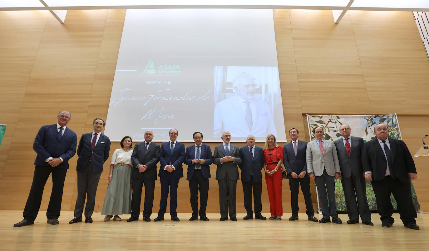 Fotos: El homenaje a Ignacio Fernández de Mesa en Córdoba