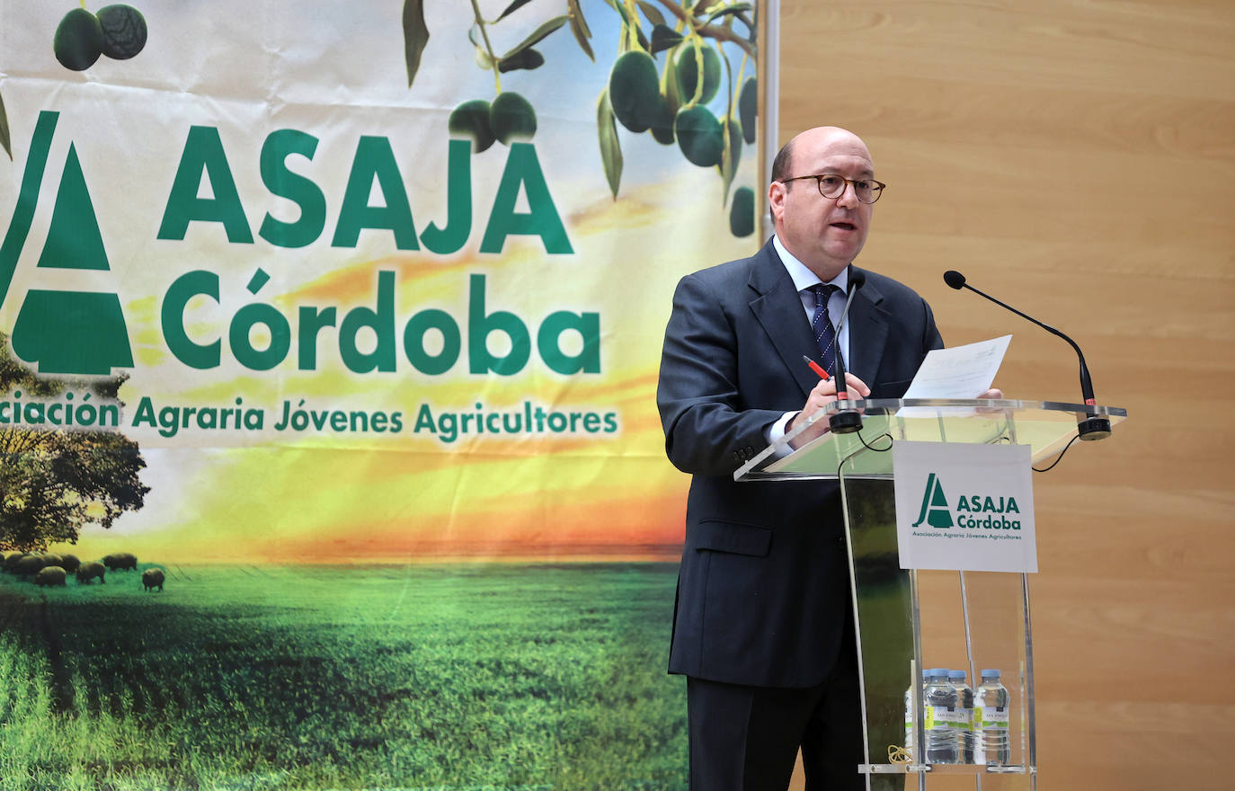 Fotos: El homenaje a Ignacio Fernández de Mesa en Córdoba